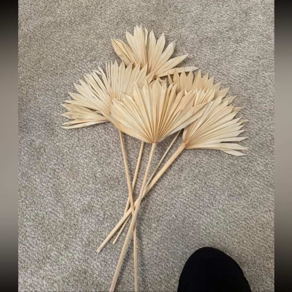 Natural Dried Palm Leaves - Tan
